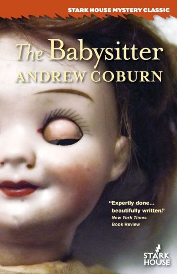 Cover Art for 9781933586922, The Babysitter by Andrew Coburn
