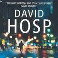 Cover Art for 9780330457002, Among Thieves by David Hosp
