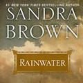 Cover Art for 9781594134081, Rainwater by Sandra Brown