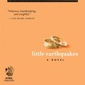 Cover Art for 9780743499903, Little Earthquakes by Jennifer Weiner