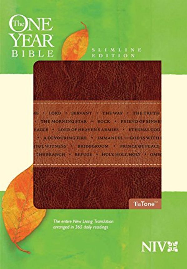 Cover Art for 9781414338613, One Year Bible-NIV-Slimline by Tyndale House Publishers