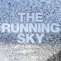 Cover Art for 9780224081986, The Running Sky by Dee, Tim
