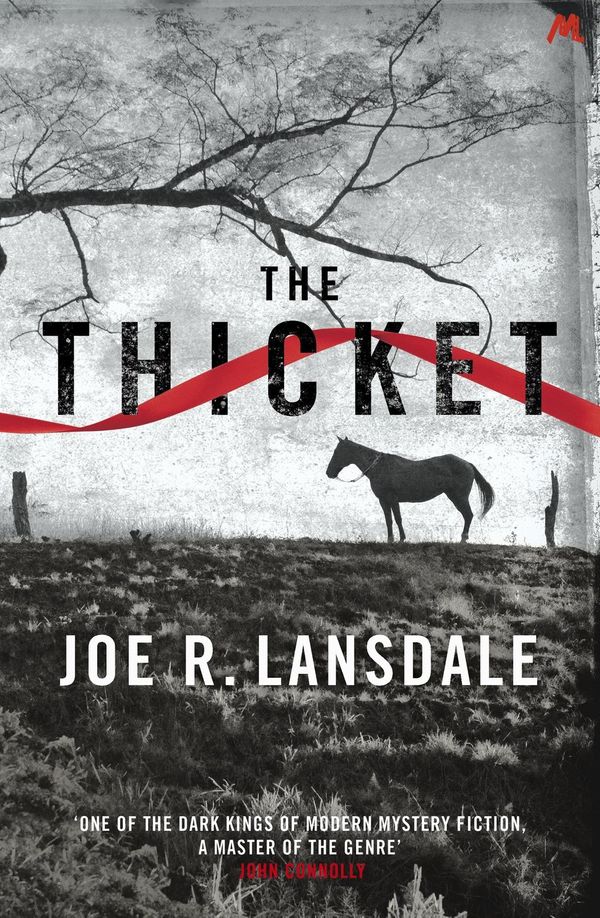 Cover Art for 9781444736908, The Thicket by Joe R. Lansdale