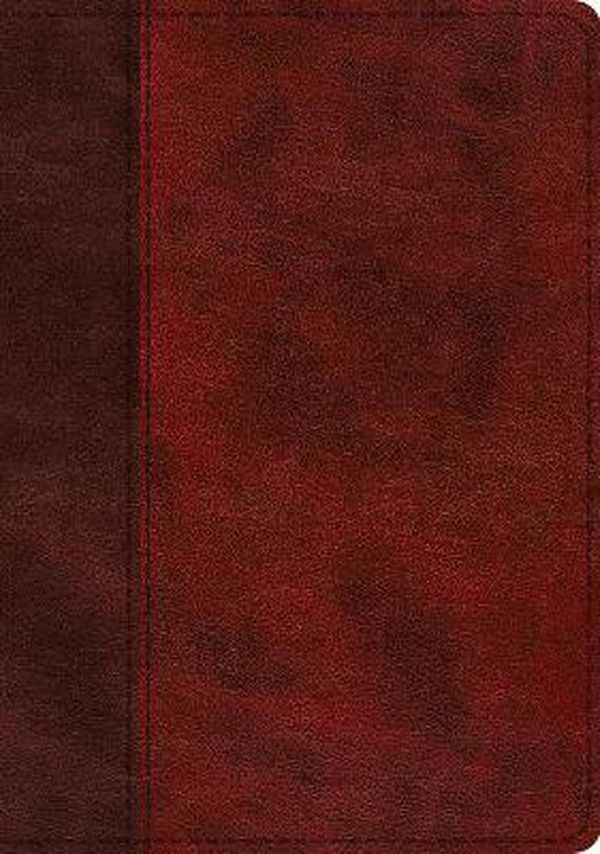 Cover Art for 9781433571848, ESV Study Bible (Trutone, Burgundy/Red, Timeless Design, Indexed) by Crossway Books