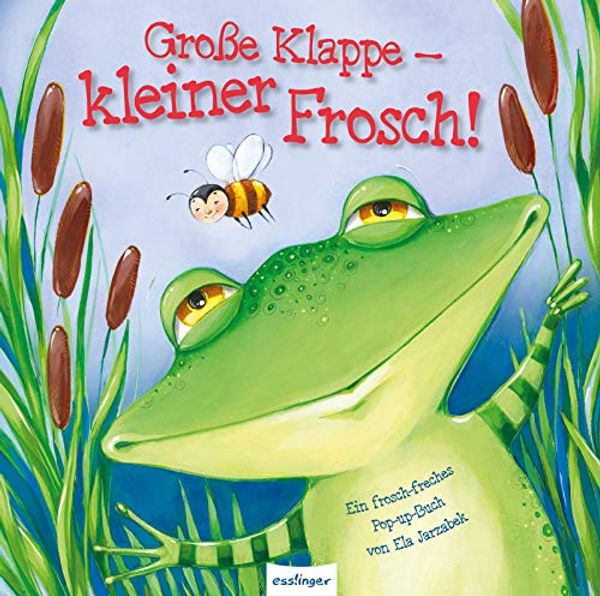 Cover Art for 9783480228829, Große Klappe  kleiner Frosch! by Graham Oakley