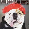 Cover Art for 9781549203817, Bulldog Bad Boys Mini 2019 Wall Calendar (Dog Breed Calendar) by Willow Creek Press
