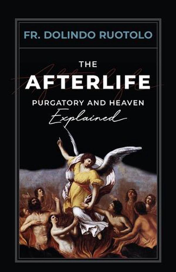 Cover Art for 9781644136522, The Afterlife: Purgatory and Heaven Explained by Rev. Dolindo Ruotolo