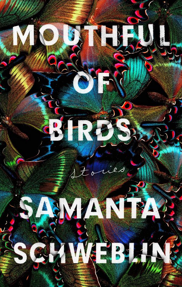 Cover Art for 9780399184628, Mouthful of Birds: Stories by Samanta Schweblin