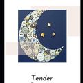 Cover Art for 9798575495550, Tender Buttons by Gertrude Stein