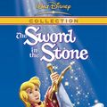 Cover Art for 9398520229034, The Sword In The Stone by Buena Visa Home Entertainment