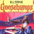 Cover Art for 9780439922203, My Best Friend is Invisible by R. L. Stine