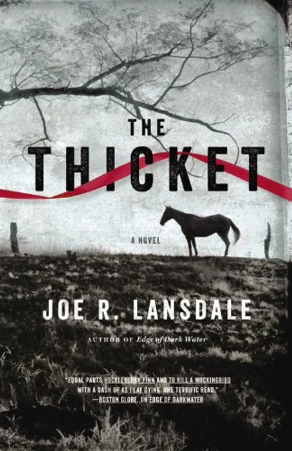 Cover Art for 9781478980117, The Thicket by Joe R. Lansdale