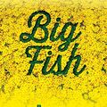 Cover Art for 9781480383654, Big Fish: Vocal Selections by August, John