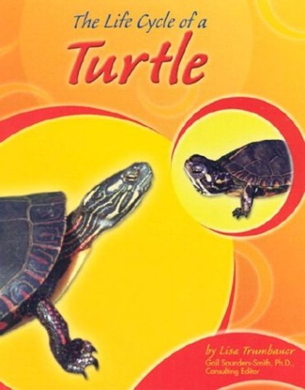 Cover Art for 9780736820929, The Life Cycle of a Turtle by Gail Saunders-Smith and Lisa Trumbauer and Bob Fay (Consultant)