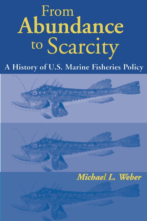 Cover Art for 9781610912709, From Abundance to Scarcity by Michael L. Weber