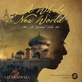 Cover Art for 9781504650113, A Whole New World: A Twisted Tale by Liz Braswell, Disney Press