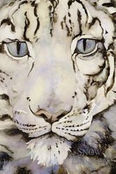 Cover Art for 9781845076009, The Snow Leopard by Jackie Morris