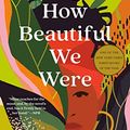 Cover Art for B07XN8W4BC, How Beautiful We Were: A Novel by Imbolo Mbue