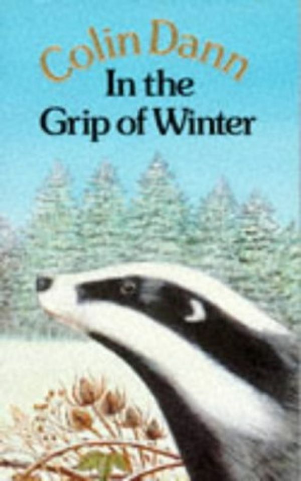 Cover Art for 9780099292203, In the Grip of Winter by Dann, Colin