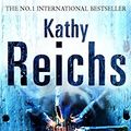 Cover Art for 9780099492368, Bones to Ashes by Kathy Reichs