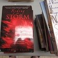 Cover Art for 9780739487266, Riding the Storm by Sydney Croft