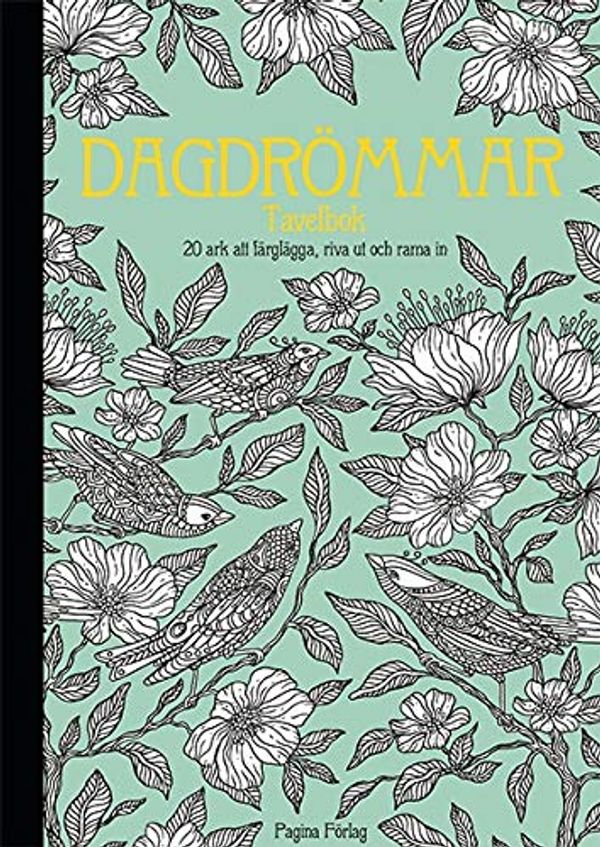 Cover Art for 9789163611636, Dagdrömmar - Tavelbok by Hanna Karlzon