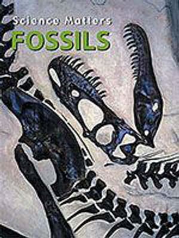 Cover Art for 9781590362495, Fossils by Megan Lappi