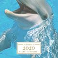 Cover Art for 9781698346502, 2020: Weekly and Monthly Planner/Calendar Jan 2020 - Dec 2020 Cute Dolphin by Planimals