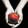 Cover Art for 9780316015844, Twilight by Stephenie Meyer