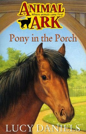 Cover Art for 9780340607718, Pony in the Porch by Lucy Daniels