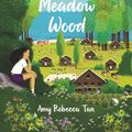 Cover Art for 9780062795489, Summer at Meadow Wood by Amy Rebecca Tan