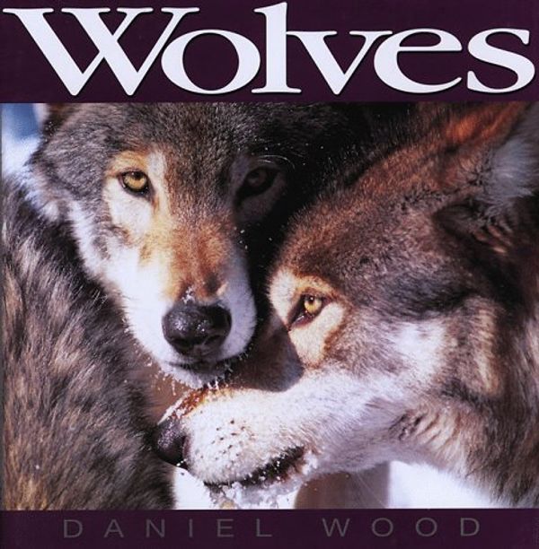 Cover Art for 9781551101989, Wolves by Daniel Wood