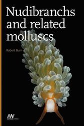Cover Art for 9780980381382, Nudibranchs and Related Molluscs by Robert Burn