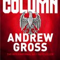 Cover Art for 9781509878437, The Fifth Column by Andrew Gross