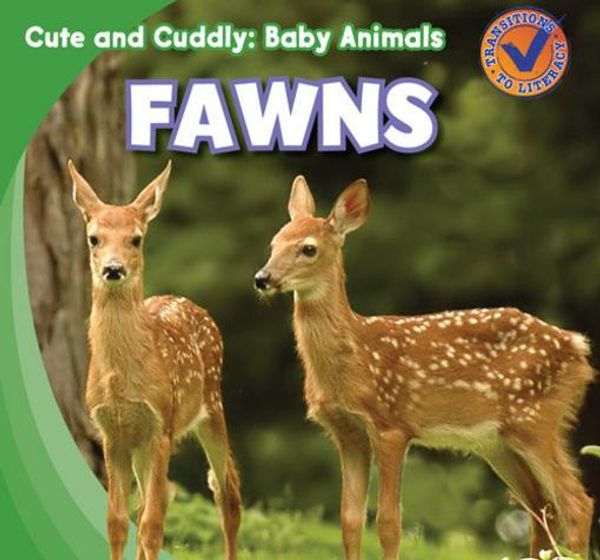 Cover Art for 9781433955433, Fawns (Cute and Cuddly by Katie Kawa