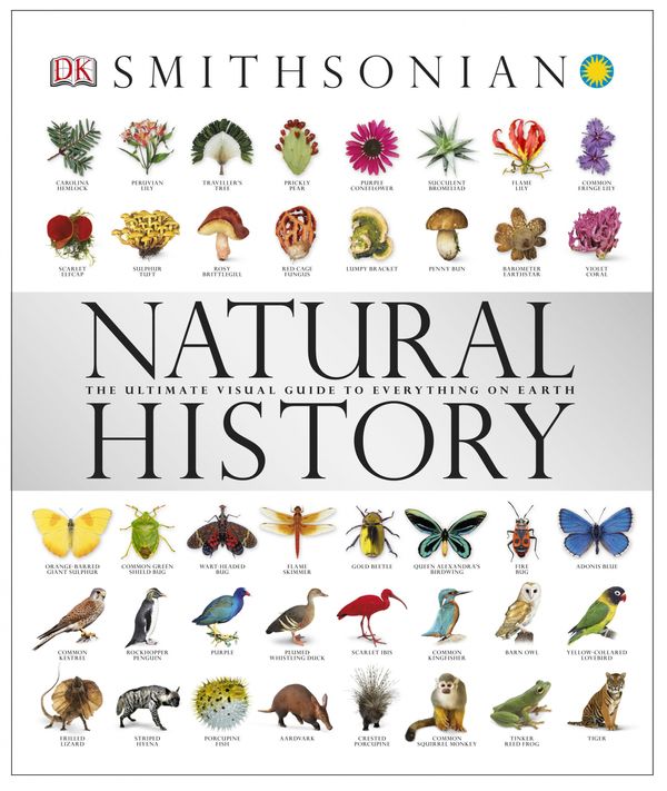Cover Art for 9780756667528, Natural History by DK