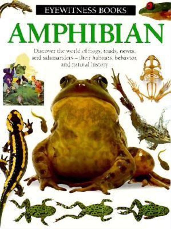 Cover Art for 9780679938798, Amphibian (Eyewitness Books) by Barry Clarke, Geoff Brightling, Frank Greenaway
