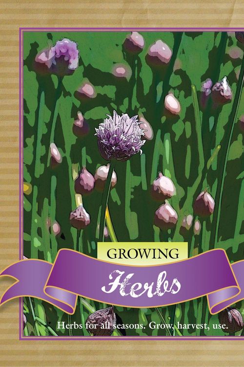 Cover Art for 9781741965926, Growing Herbs by Murdoch Books