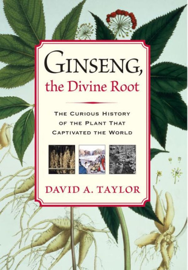 Cover Art for 9781565124011, Ginseng, the Divine Root by David A. Taylor