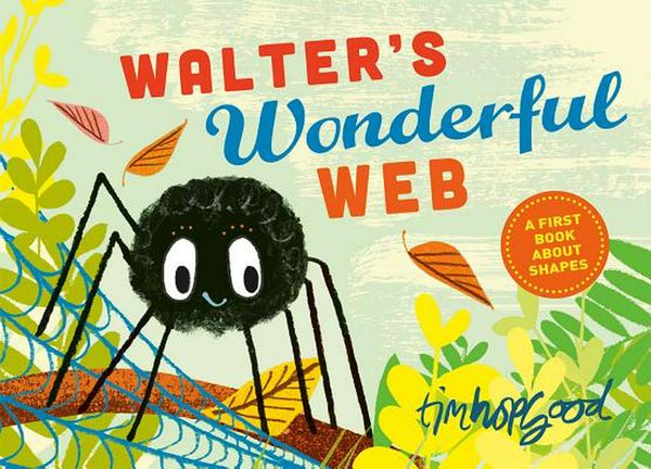 Cover Art for 9780374303525, Walter's Wonderful Web by Tim Hopgood