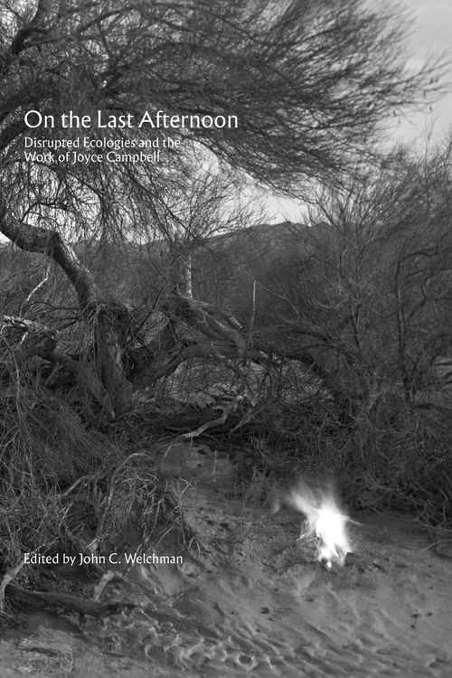 Cover Art for 9783956794445, On the Last Afternoon: Disrupted Ecologies and the Work of Joyce Campbell by John C. Welchman