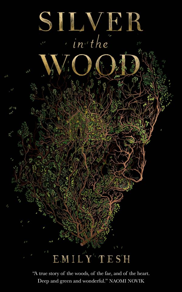 Cover Art for 9781250229793, Silver in the Wood by Emily Tesh