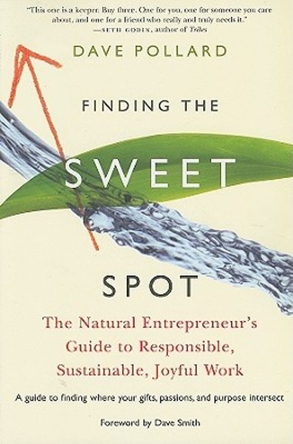 Cover Art for 9781933392905, Finding the Sweet Spot by Dave Pollard