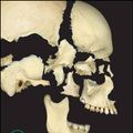 Cover Art for 9781119285038, Principles of Human Anatomy by Gerard J. Tortora