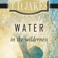 Cover Art for 9780768426458, Water in the Wilderness by T.d. Jakes