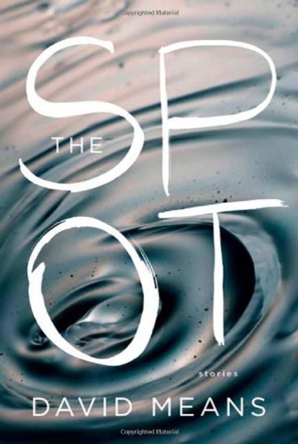 Cover Art for 9780865479128, The Spot by David Means