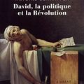 Cover Art for 9782070142699, David, la politique et la révolution by Antoine Schnapper