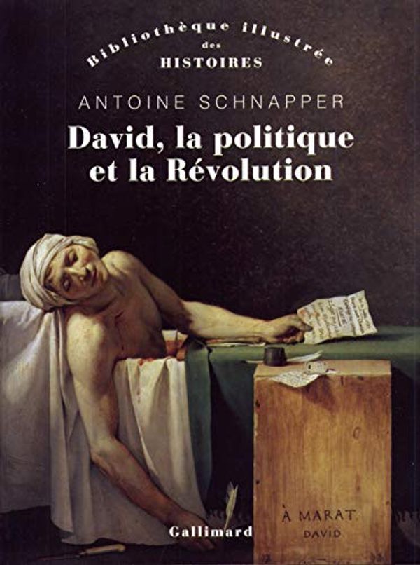 Cover Art for 9782070142699, David, la politique et la révolution by Antoine Schnapper