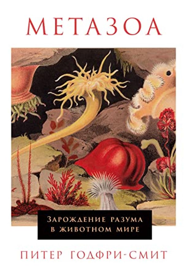 Cover Art for B0BXHV7RVK, Метазоа: Зарождение разума в животном мире (Metazoa: Animal Life and the Birth of the Mind) (Russian Edition) by Годфри-Смит,Питер, Godfrey-Smith,Peter