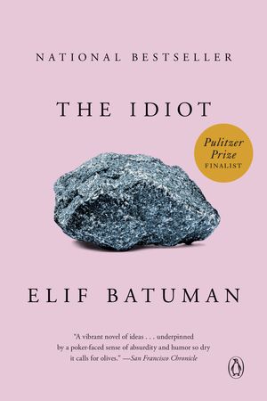 Cover Art for 9780143111061, The Idiot by Elif Batuman